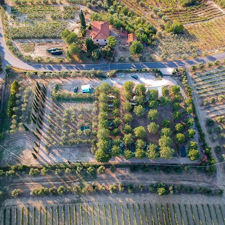 Agricamping Poggio Ai Pini Wine Camping Certaldo Eksteriør billede