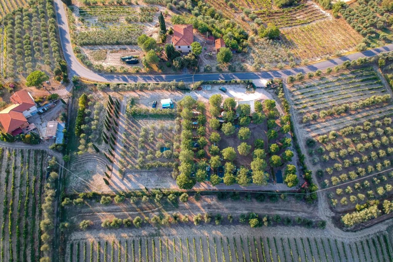 Agricamping Poggio Ai Pini Wine Camping Certaldo Eksteriør billede