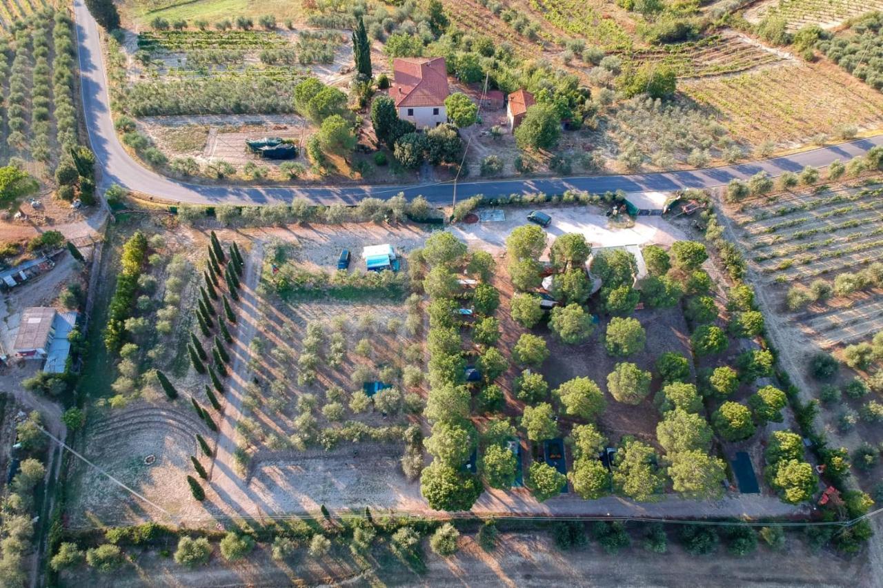 Agricamping Poggio Ai Pini Wine Camping Certaldo Eksteriør billede
