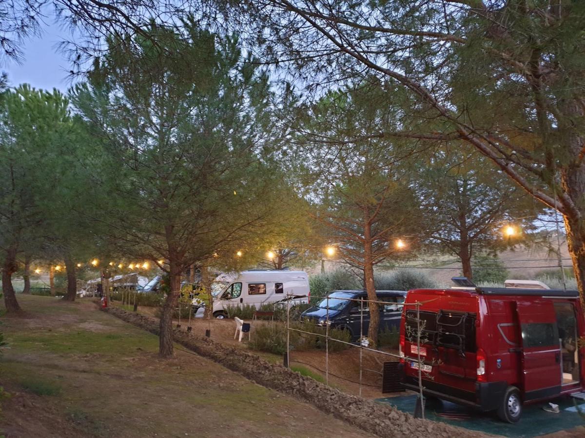 Agricamping Poggio Ai Pini Wine Camping Certaldo Eksteriør billede