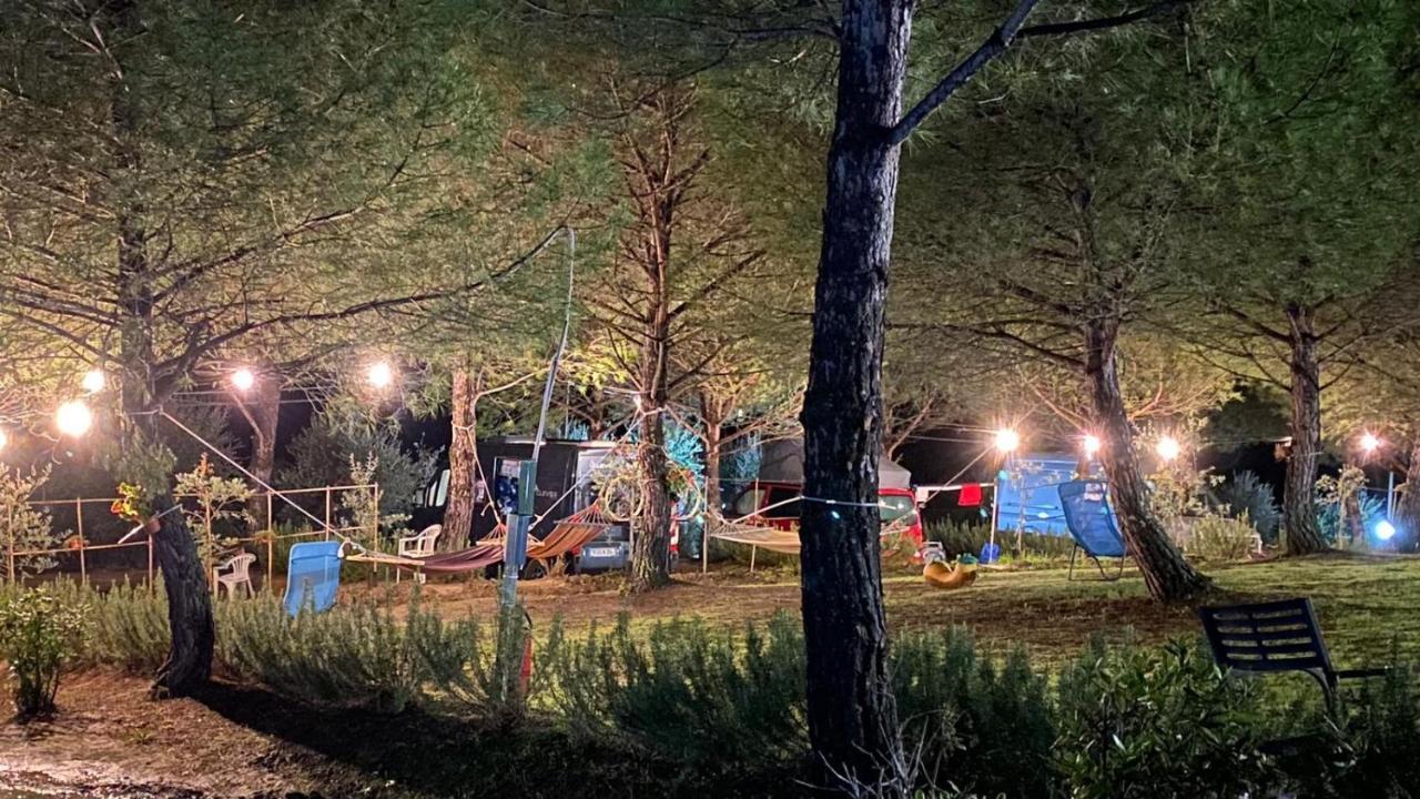 Agricamping Poggio Ai Pini Wine Camping Certaldo Eksteriør billede
