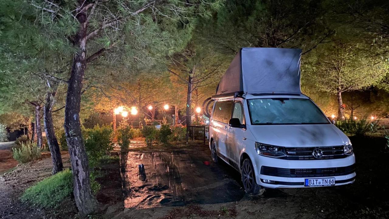 Agricamping Poggio Ai Pini Wine Camping Certaldo Eksteriør billede