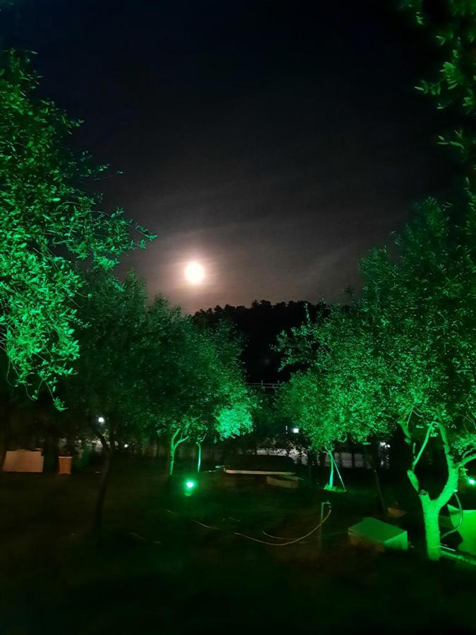 Agricamping Poggio Ai Pini Wine Camping Certaldo Eksteriør billede
