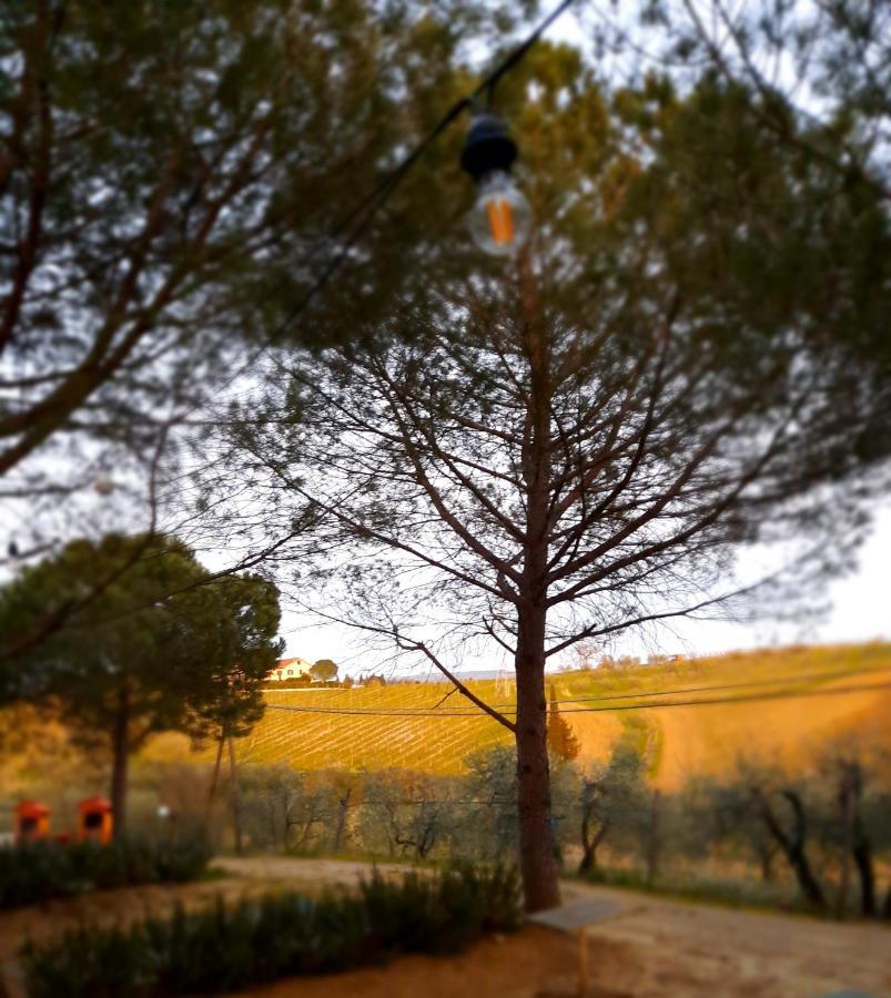 Agricamping Poggio Ai Pini Wine Camping Certaldo Eksteriør billede