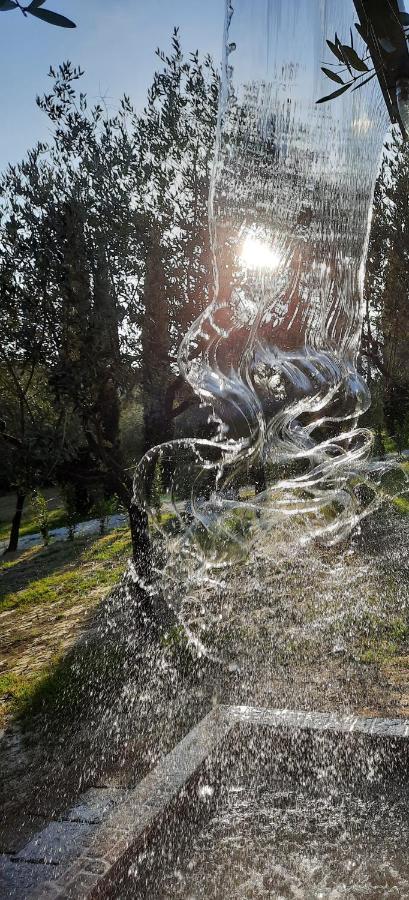 Agricamping Poggio Ai Pini Wine Camping Certaldo Eksteriør billede