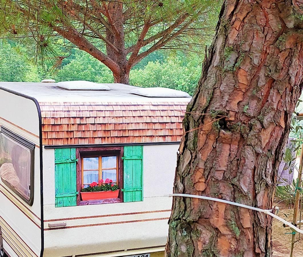 Agricamping Poggio Ai Pini Wine Camping Certaldo Eksteriør billede