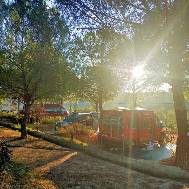 Agricamping Poggio Ai Pini Wine Camping Certaldo Eksteriør billede