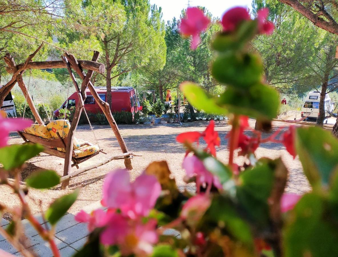 Agricamping Poggio Ai Pini Wine Camping Certaldo Eksteriør billede